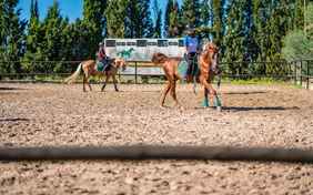 unter freiem Himmel liegen 2 Reitplätze (20x40m und 50x70m) und ein Roundpen zum Longieren 